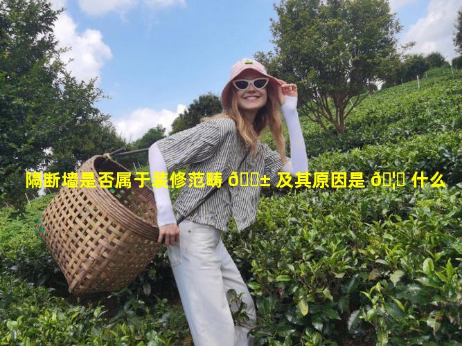 隔断墙是否属于装修范畴 🐱 及其原因是 🦊 什么